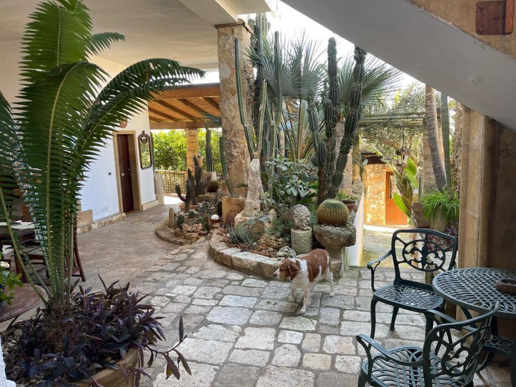 Felline In Bed&Breakfast Dimora Di Charme El Salento Luaran gambar
